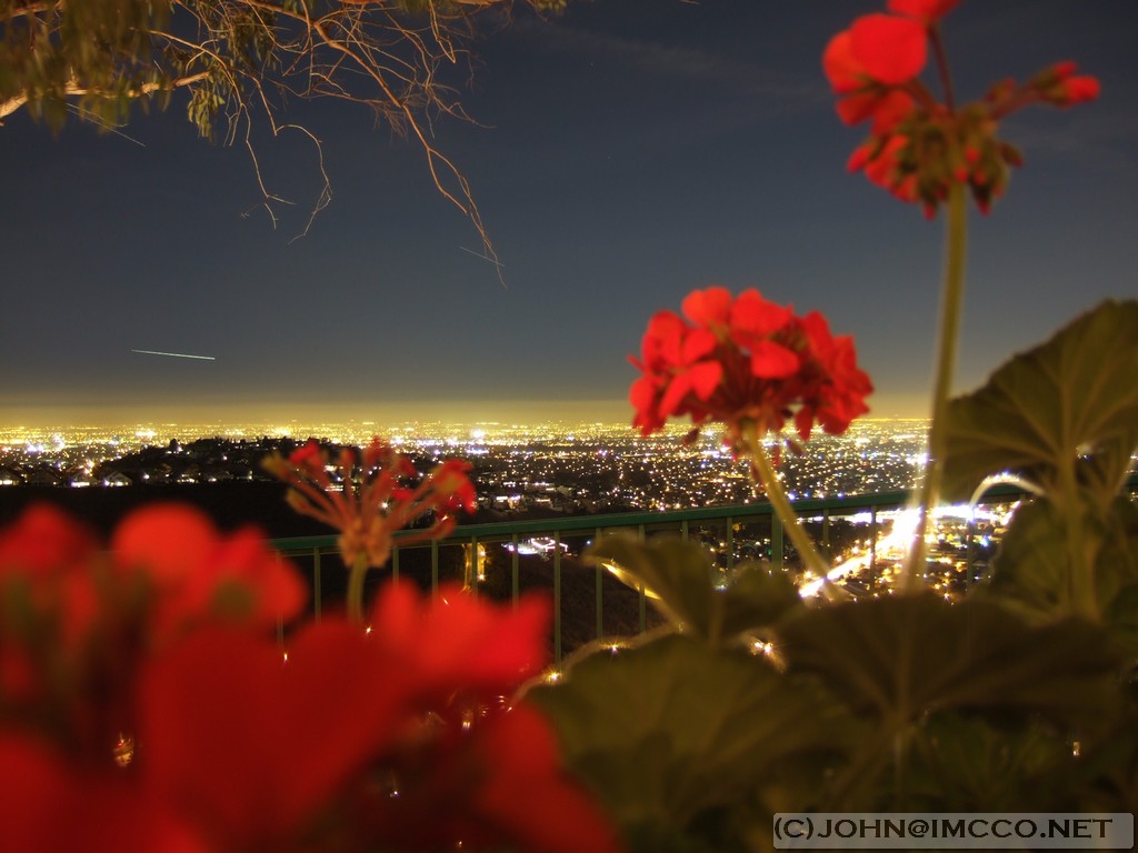 orange hill resturant