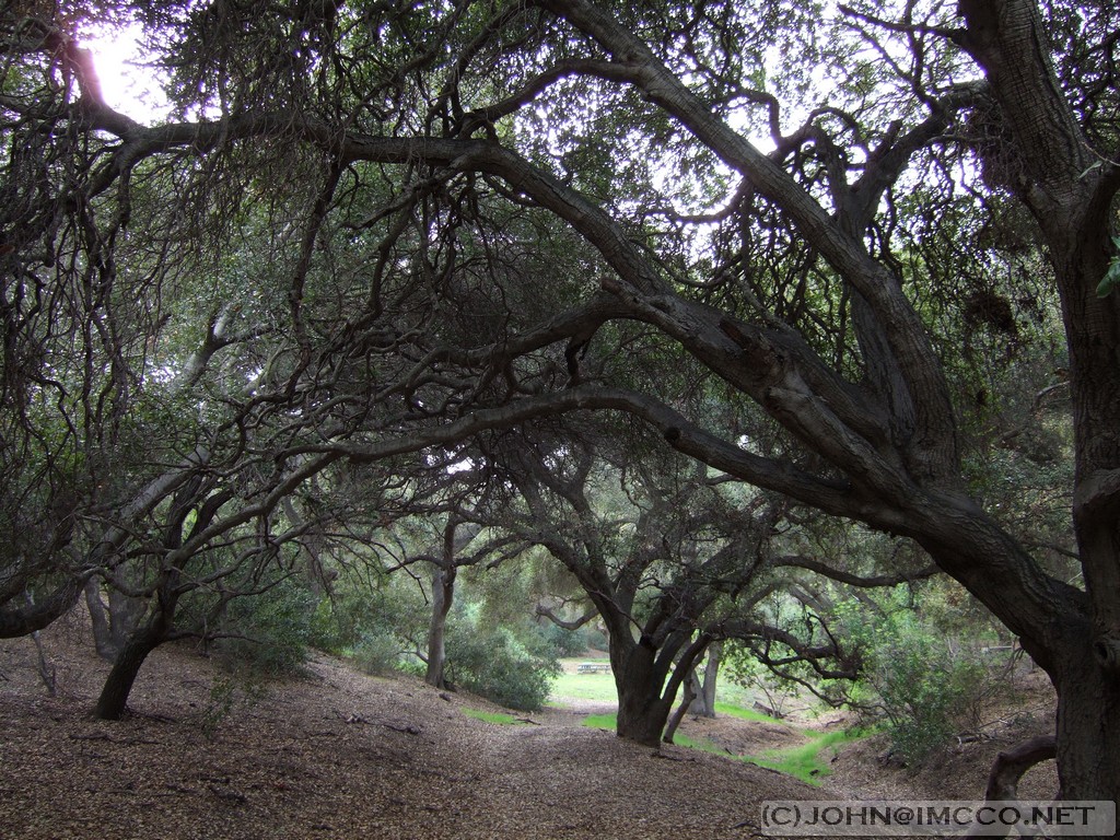 Anaheim park Anaheim park